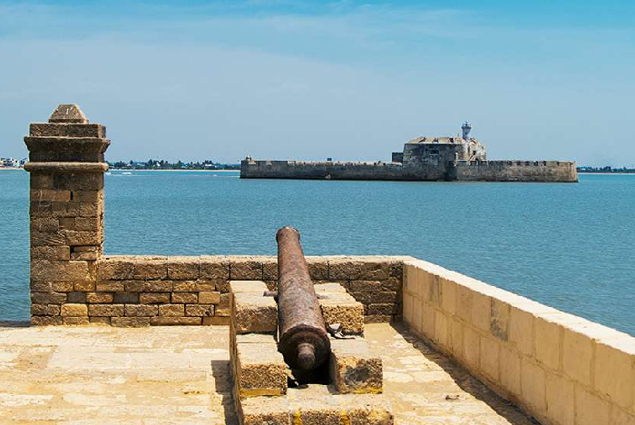 Gujarat's Wildlife & Beaches